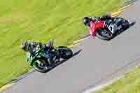 Lower Group Green Bikes